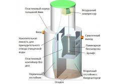 Панда Дана 0.8